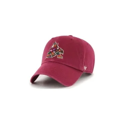 47 Brand Keps NHL Clean Up Arizona Coyotes