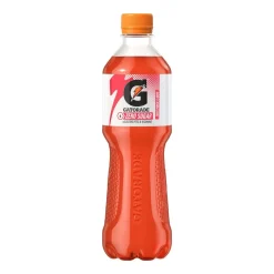 Gatorade Sport Drink 12-Pack Punch Fruit