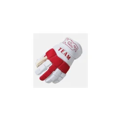 Kosa Bandyhandskar Team 2020 Red