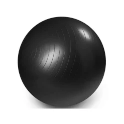 Master Fitness Gymboll