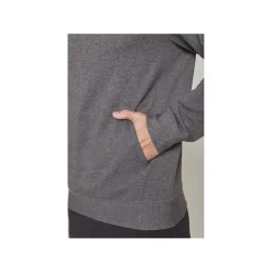 TRUE Hoodie Terry Graphic Sr Grey
