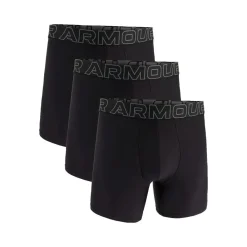 Under Armour Kalsonger Performance Tech 6" 3pk Black